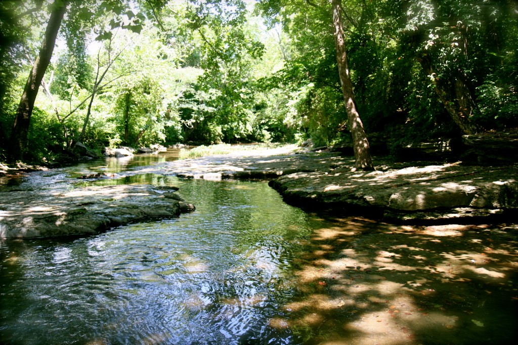 Belle Meade Plantation Creek
