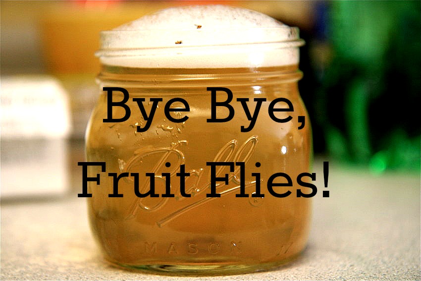 http://suburbanturmoil.com/wp-content/uploads/2013/08/Bye_Bye_Fruit_Flies-1.jpg