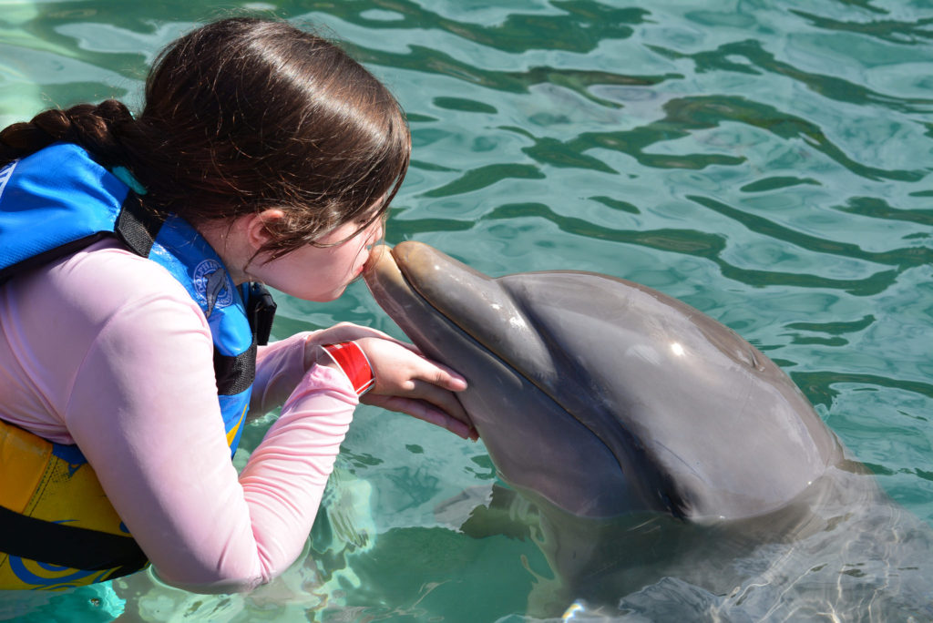 Dolphin Experience St. Kitts Celebrity Cruises