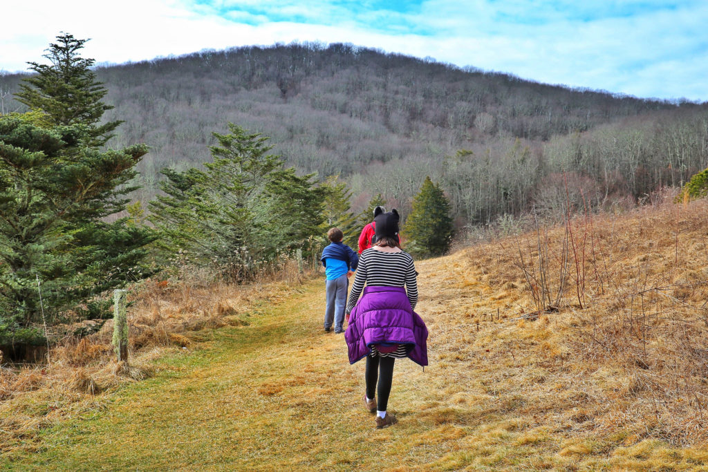 Maggie Valley Family Hikes
