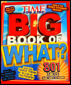 Time Big Book of What