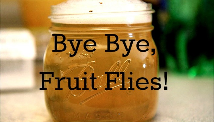 Bye_Bye_Fruit_Flies