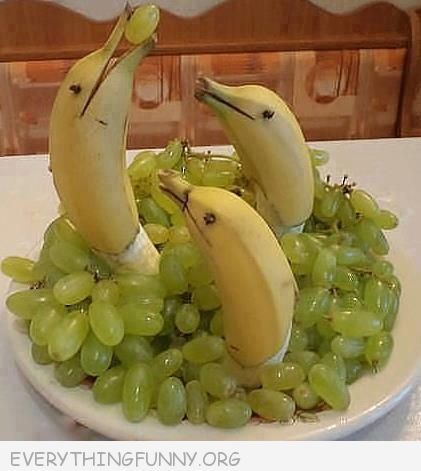 Banana_Dolphins