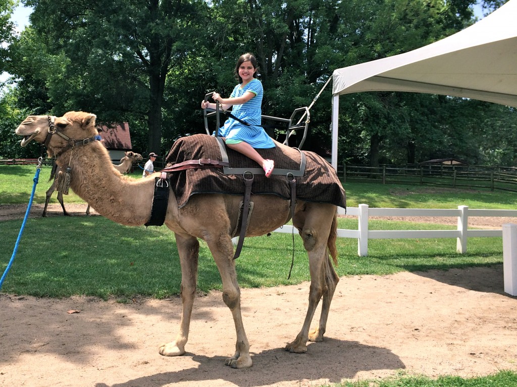 Camel_Ride_Grants_Park