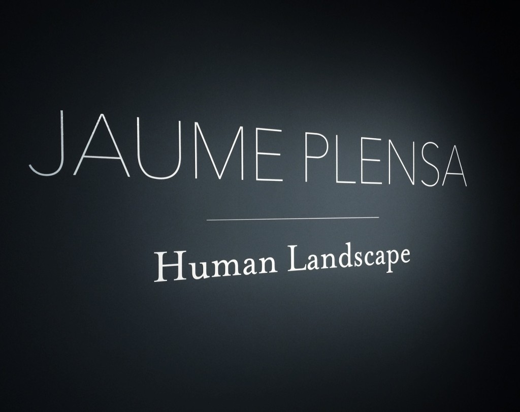 Human Landscape
