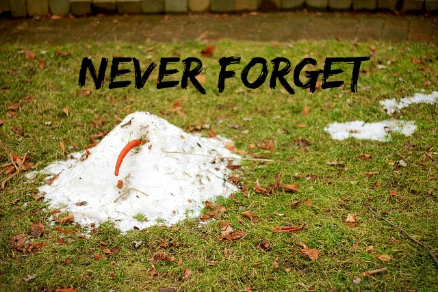 Never Forget Snowman