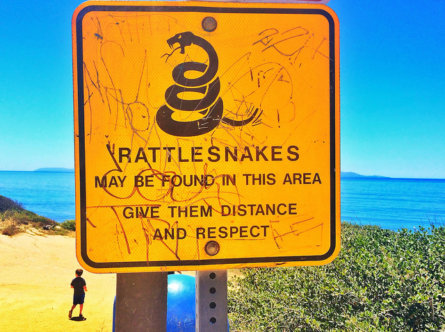 Rattlesnake Warning Sign at Abalone Cove