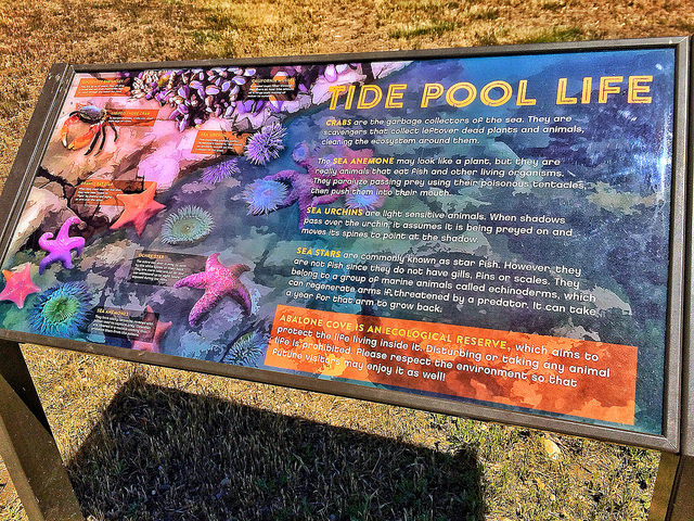 Information on Abalone Cove Tide Pools 