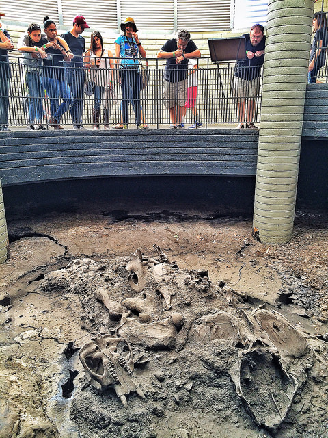 Guided Tours at the La Brea Tar Pits