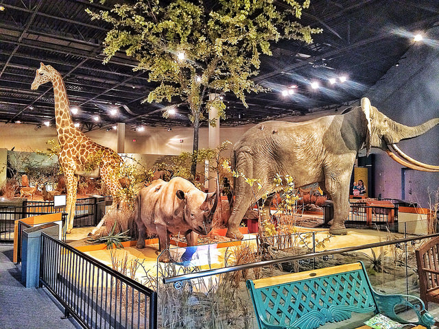 Sioux Falls Delbridge Museum of Natural History