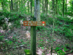 montgomery bell mountain bike trail