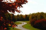 Popular Stops on the Natchez Trace Parkway