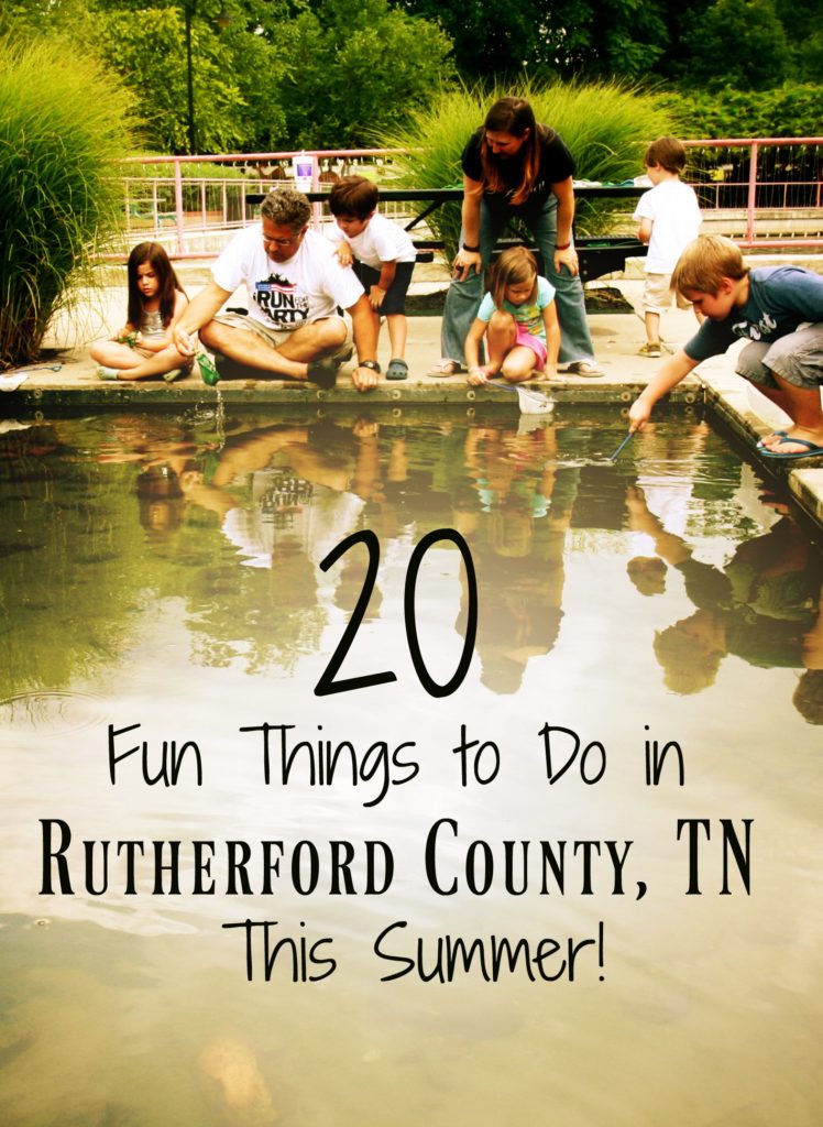 Fun Things to Do in Rutherford County