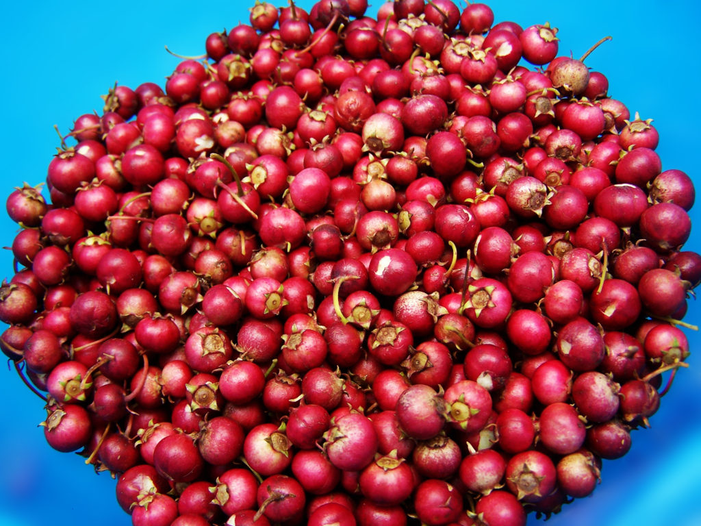 Cranberry Casserole Recipe
