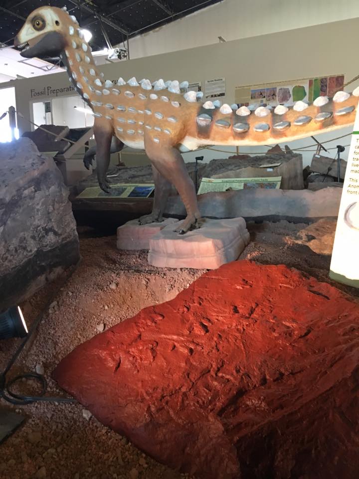 Dinosaur Museum in St. George Utah