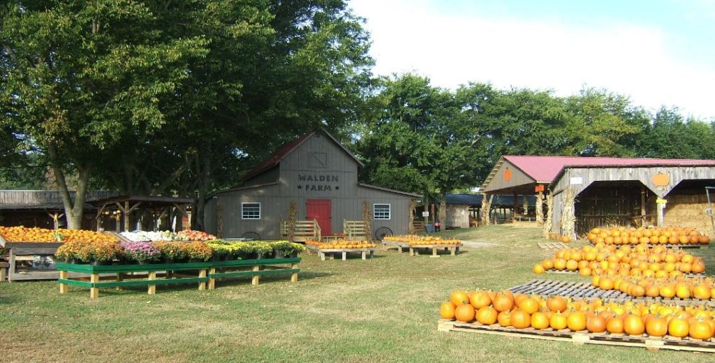Walden Farm Smyrna Tennessee