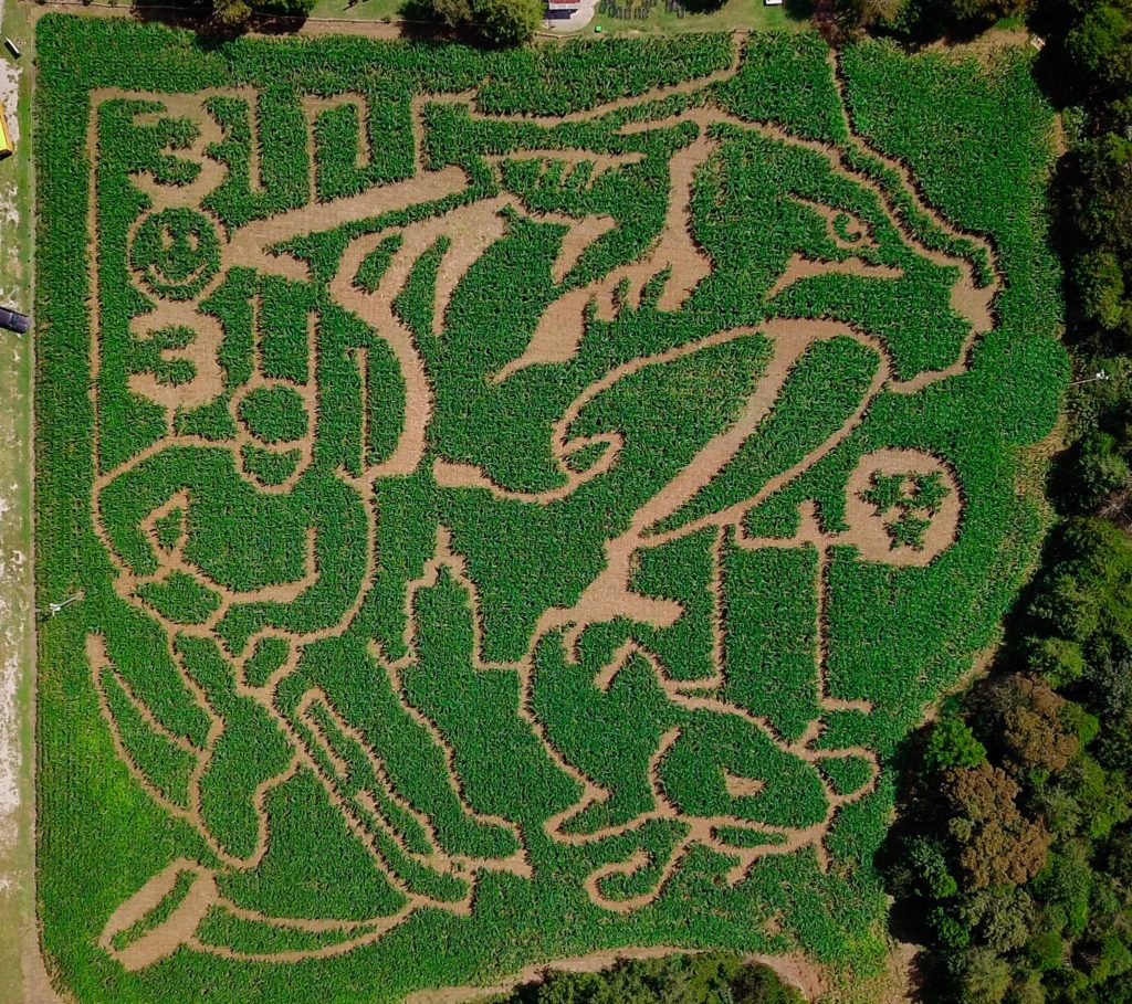 Lucky Ladd Farms Corn Maze