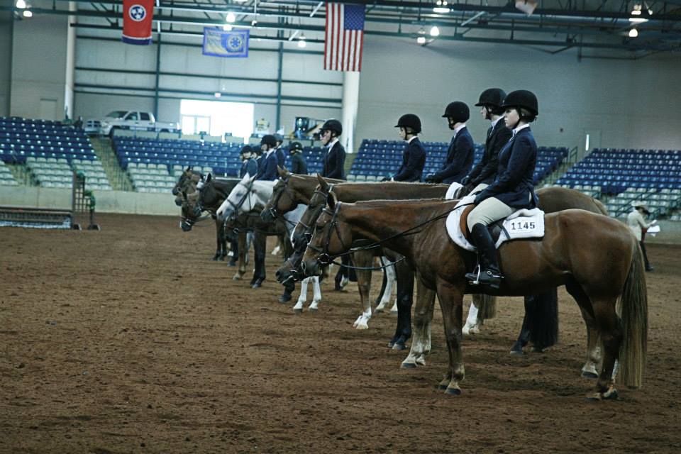 Tennessee Miller Coliseum Horse Shows