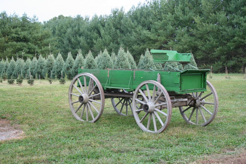 Country Cove Christmas Tree Farm Murfreesboro