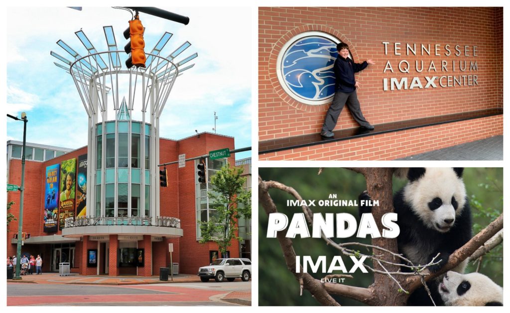 IMAX Chattanooga Review