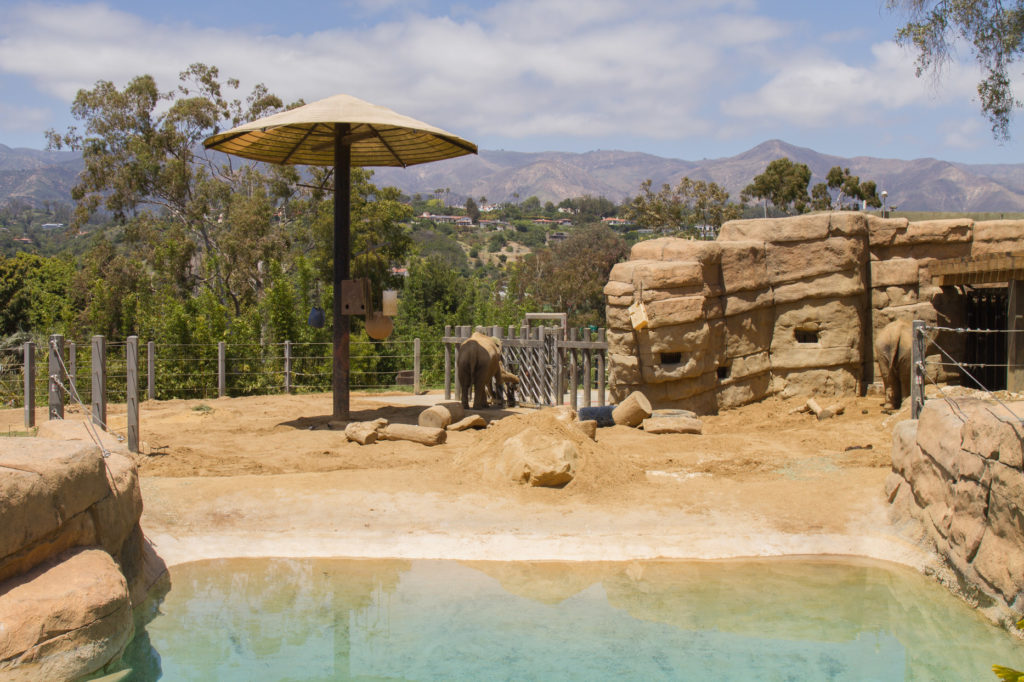 Things to do with Children in Santa Barbara