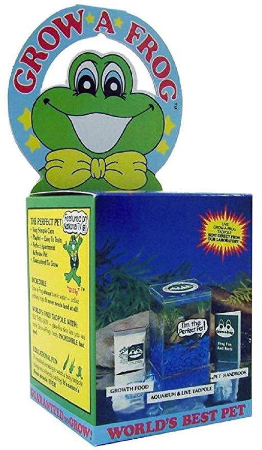 Grow-a-Frog Kit
