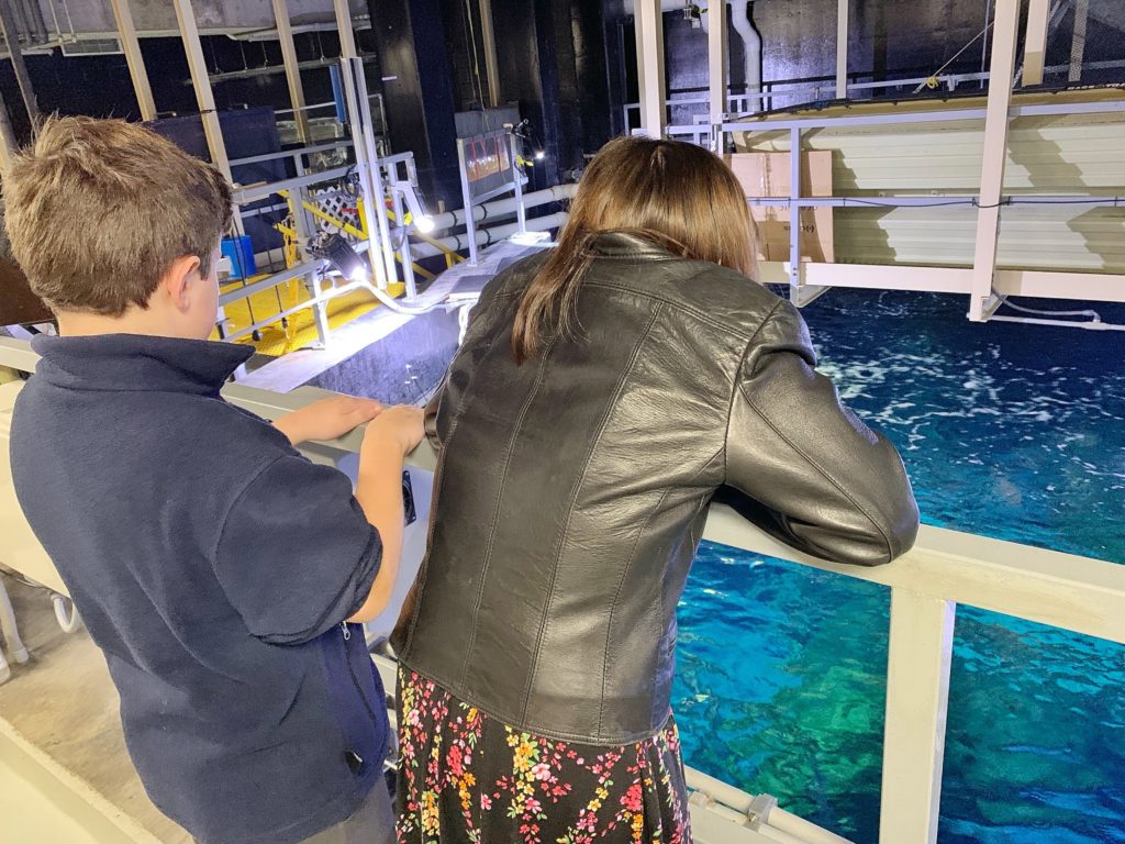 Tennessee Aquarium Backstage Pass Review