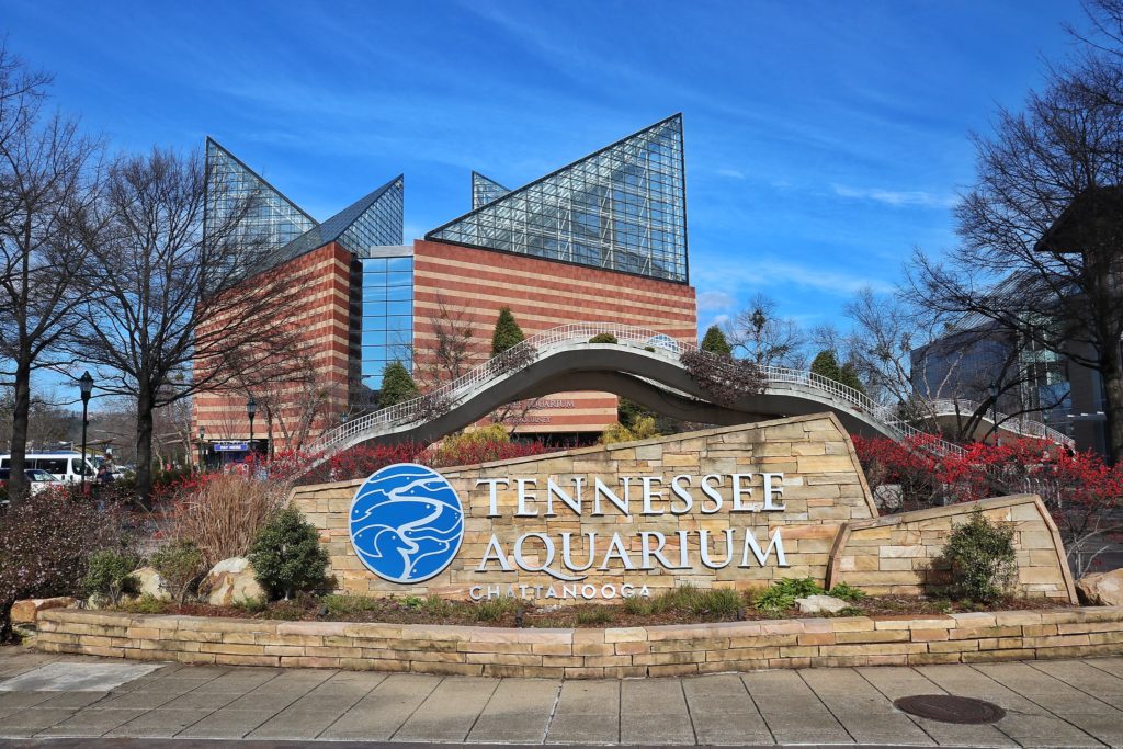 Tennessee Aquarium Review