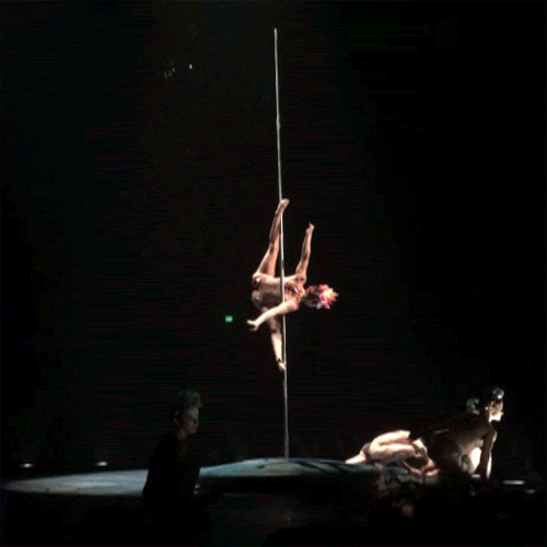 Cirque Du Soleil Luzia