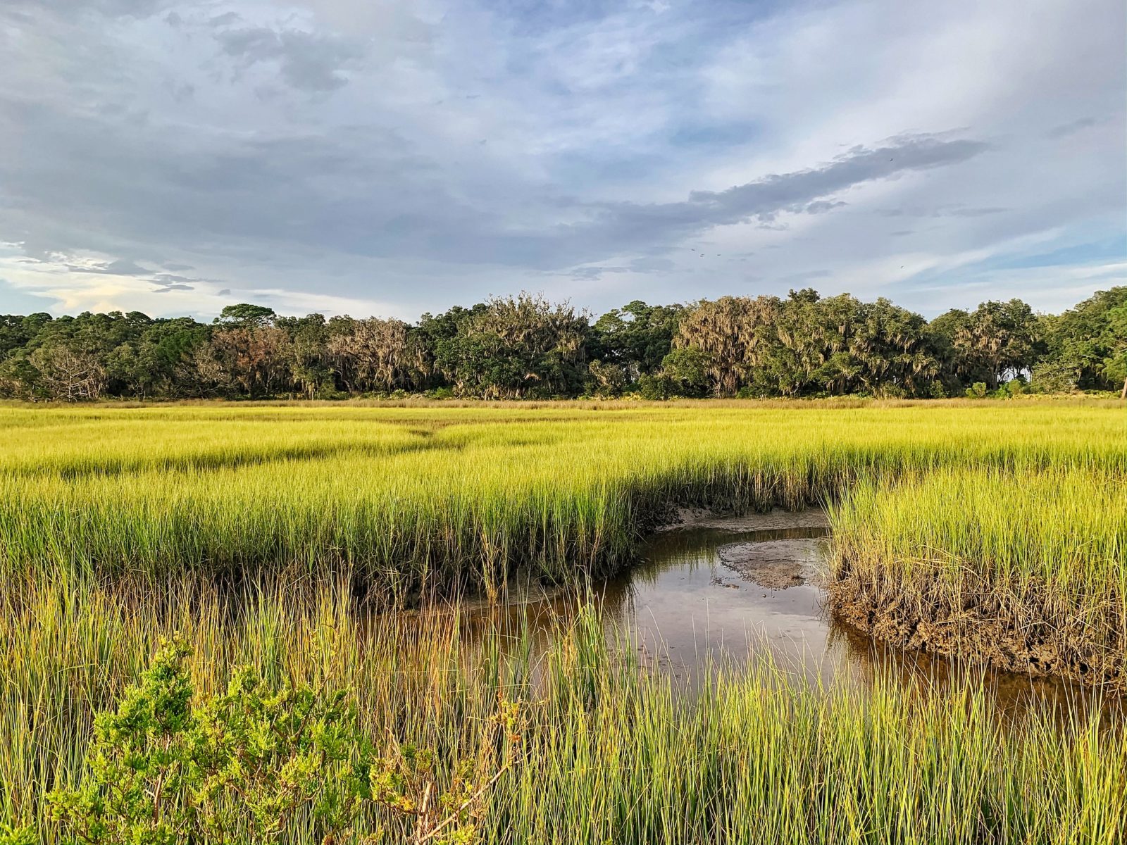 Your Complete Guide to an Amazing Jekyll Island Vacation