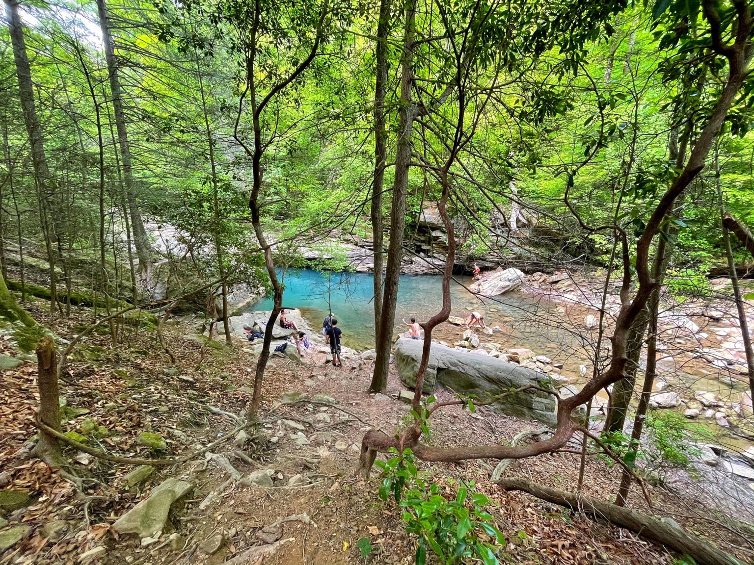 Suburban Turmoil These Chattanooga Blue Holes will Astonish You