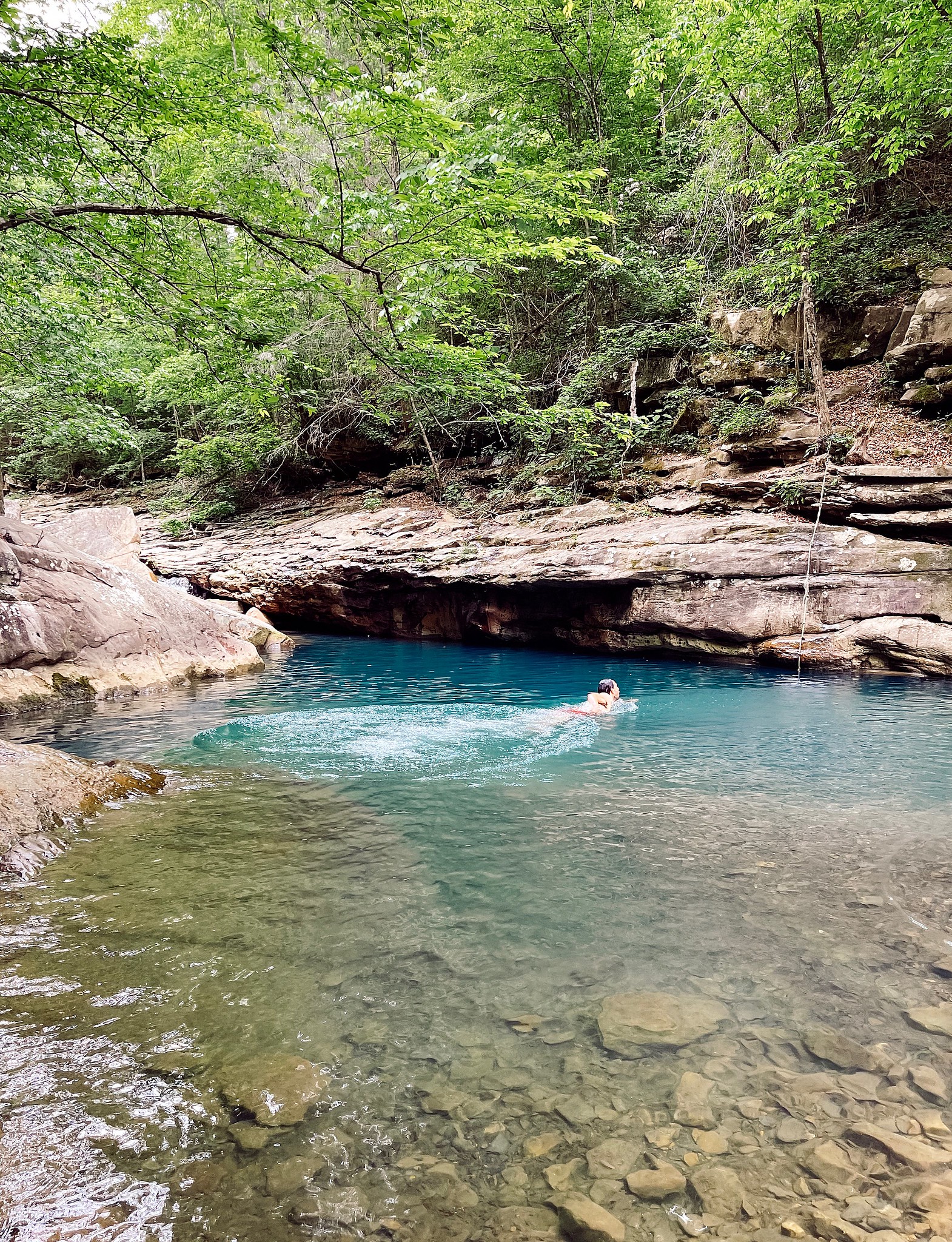 Chattanooga Blue Holes