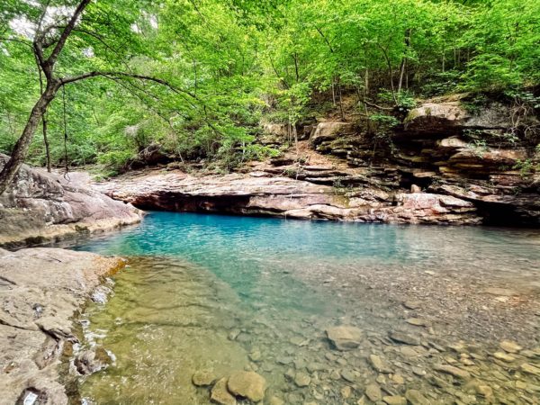 Suburban Turmoil: These Chattanooga Blue Holes will Astonish You