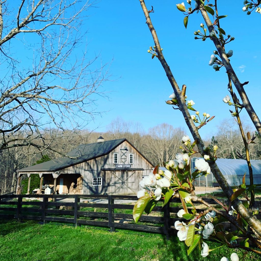 25 MustSee Hidden Gems in Franklin, Tennessee